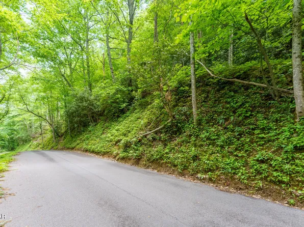 9 Zurich Rd Lot 9, Gatlinburg, TN 37738