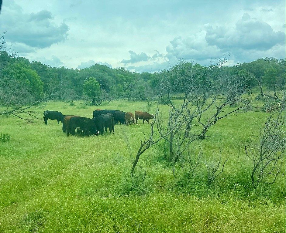 603 Wyatt Rd, Windthorst, TX 76389 MLS 20395944 Zillow