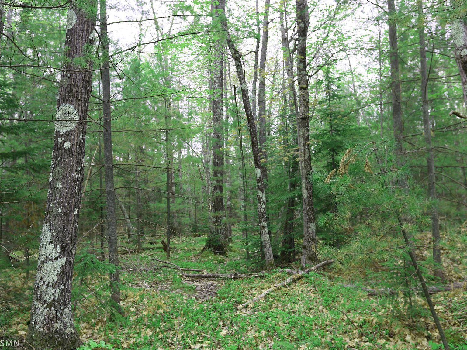 504 Miller Farm Rd, La Pointe, WI 54850 Zillow