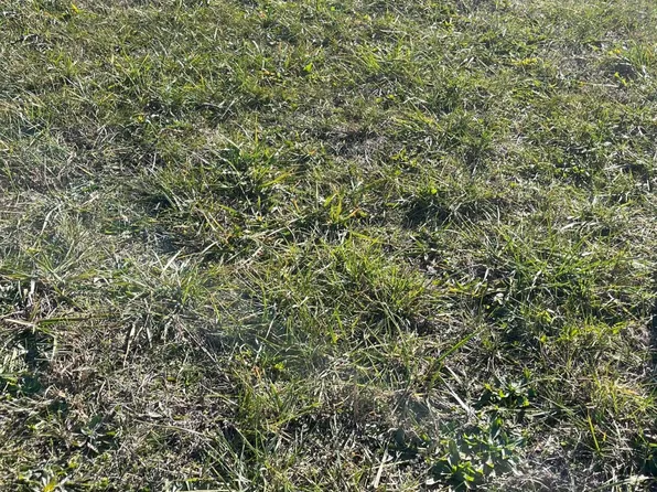 10125 County Road 94, Carthage, MO 64836