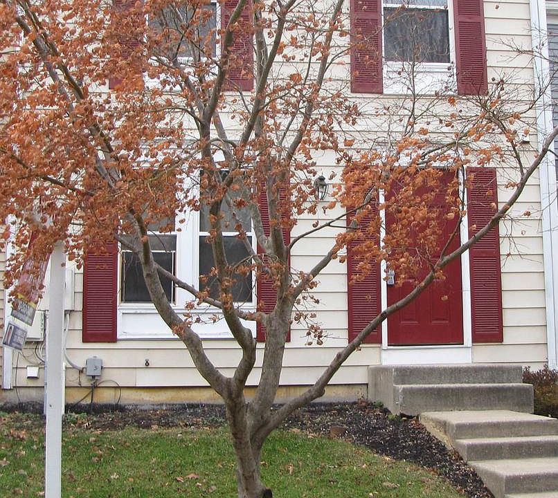 1st image of 1160 Mosswood Ct