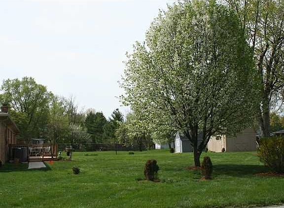 4th image of 7698 Dianna Dr