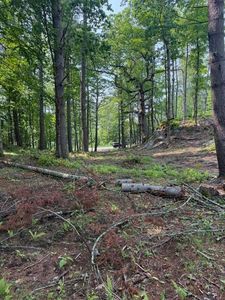 TBD Buzzell Road, Biddeford, ME, 04005