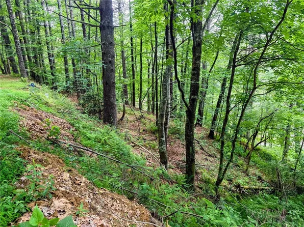 TBD New River Farms Road, Fleetwood, NC 28626