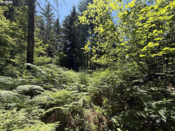 5th image of 0 Lahar Ln #9