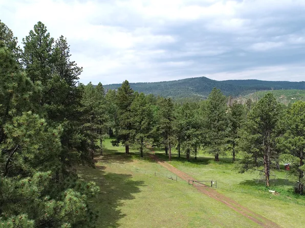 Forest Rd #103, Gallina, NM 87017
