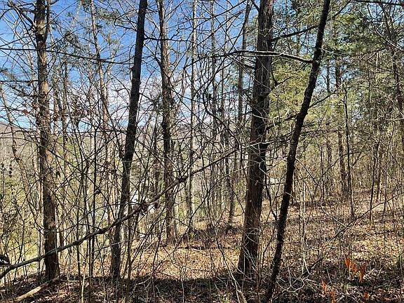 5th image of 47 Caney Branch Rd