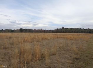 0 Brady Branch Rd, Sylvania, GA 30467