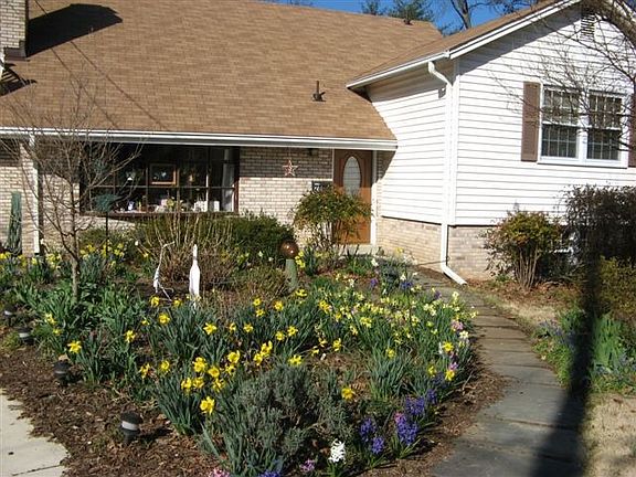 Front Yard