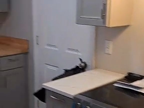 4th image of 425 Manning Blvd #1