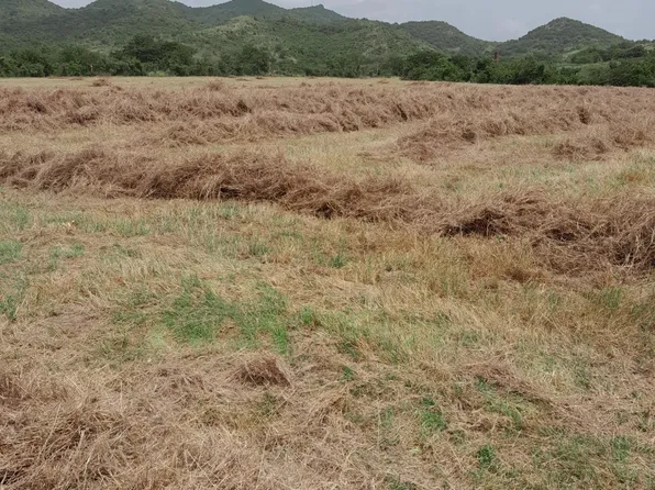 545 Carretera Estatal, Villalba, PR 00766