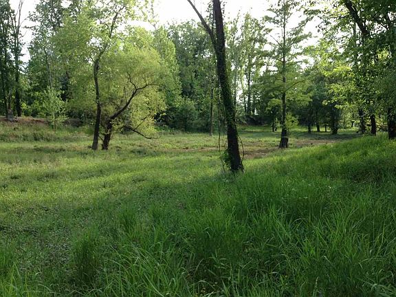 5th image of 11 Sawmill Branch Ln Lot 11