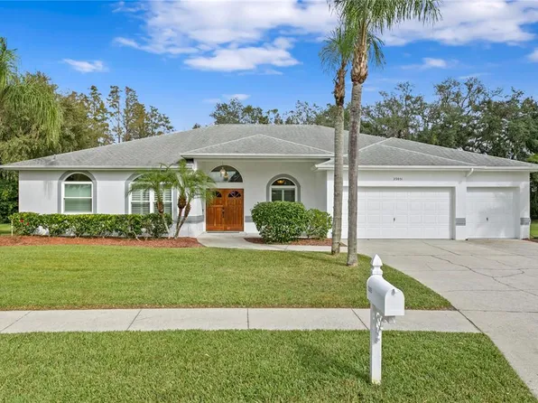 23051 Cypress Trail Dr, Lutz, FL 33549