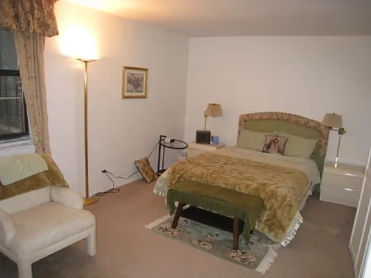 Rented by Citi Habitats | media 16