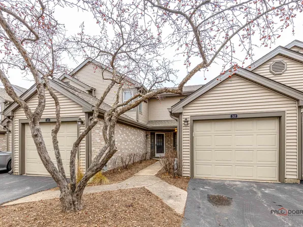 317 Grissom Ct #0, Hoffman Estates, IL 60169