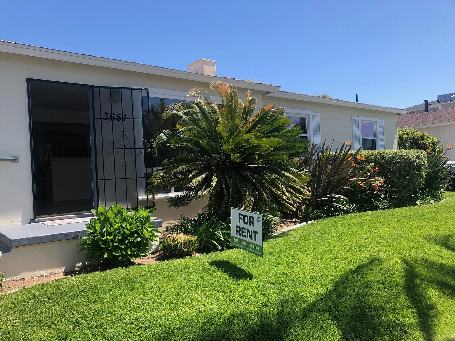 3 bed, 1002 sqft, $6,800 — Photo 2
