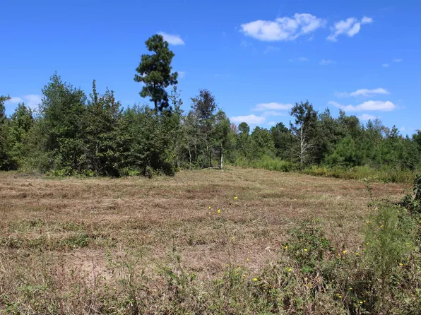 County Road 2215 Lot 9, Rusk, TX 75785
