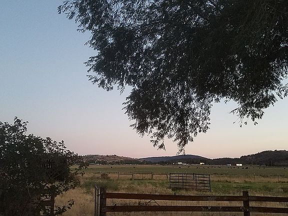 Pasture looking South