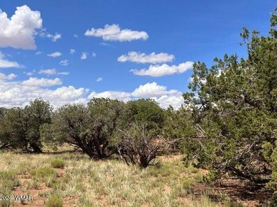 4062/4066 Apache Rd, Snowflake, AZ, 85937