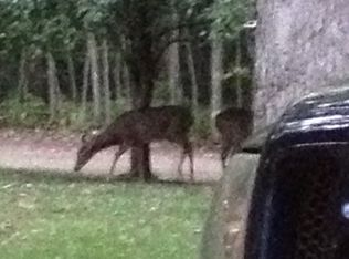 W9587 Perch Lake Rd, Wausaukee, WI 54177