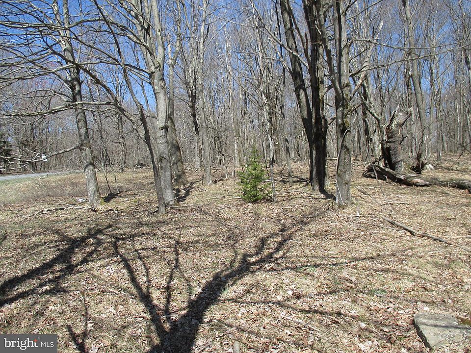 Mount Lakeside Sub Divide Mdws, Mount Storm, WV 26739 MLS 