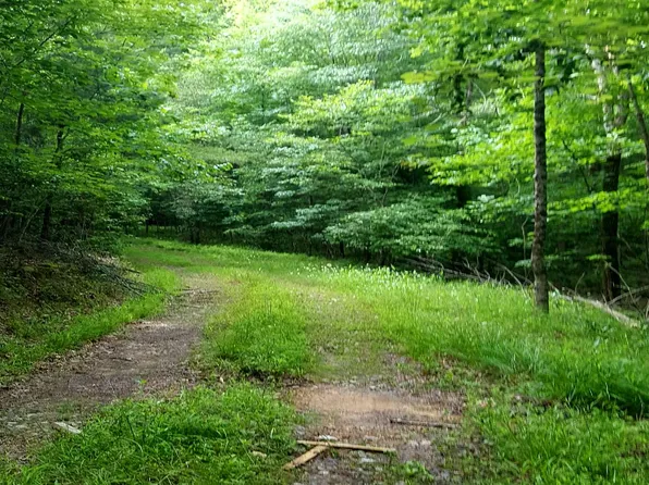 160 Roberson Rd, Blairsville, GA 30512