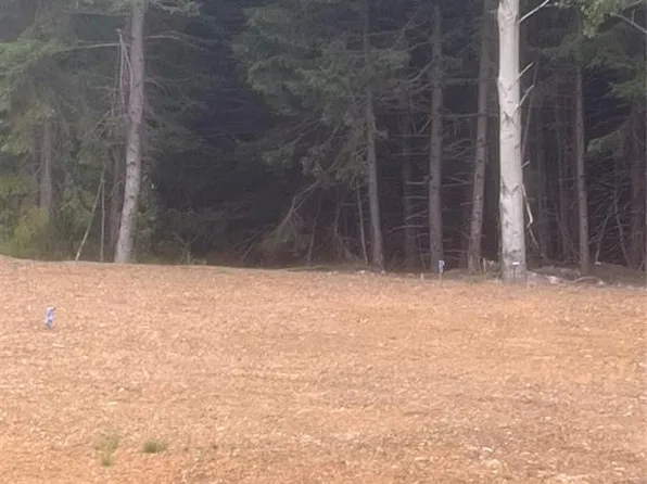 0 Ralph's Road, Glovertown, NL A0G2L0