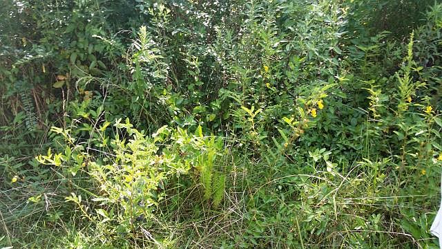 2nd image of 214 Felton Rockmart Rd