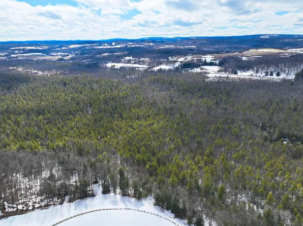 L2.5 Swamp Road, Morrisville, NY 13408