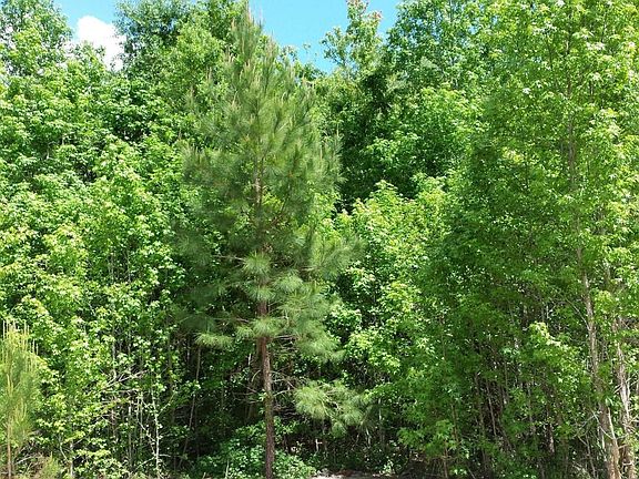 1505 nature preserve