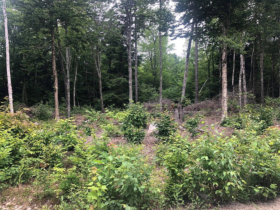 2nd image of 178 Sandy Acres Dr
