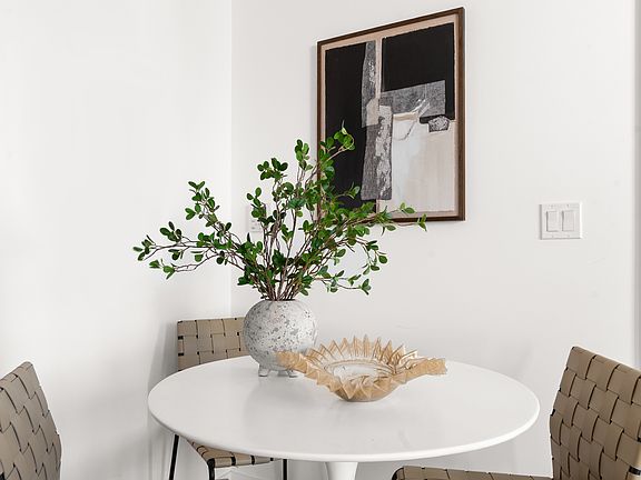 3rd image of 125 Chrystie St #Penthouse 2
