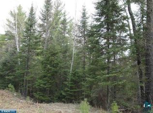 Tbd Swanson Shores Rd, Ely, MN 55731