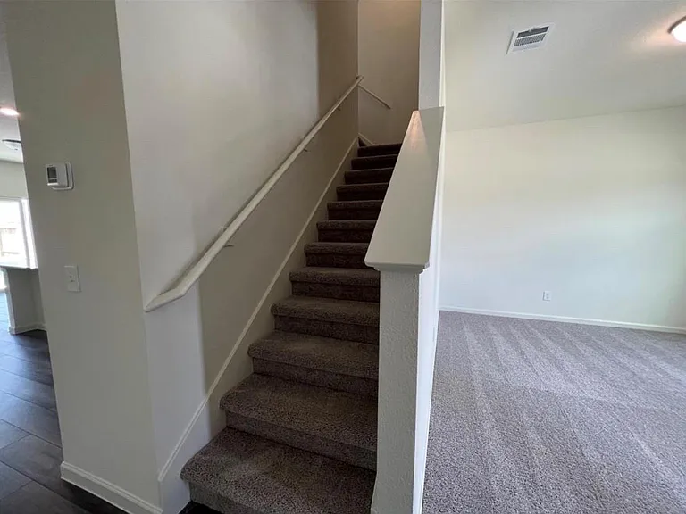 1005 Wild Enclave Ln — Photo 9