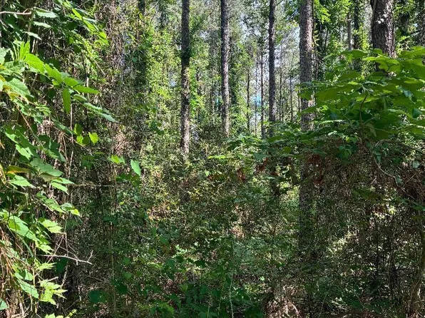 0 Arnold Rd, Choudrant, LA 71227