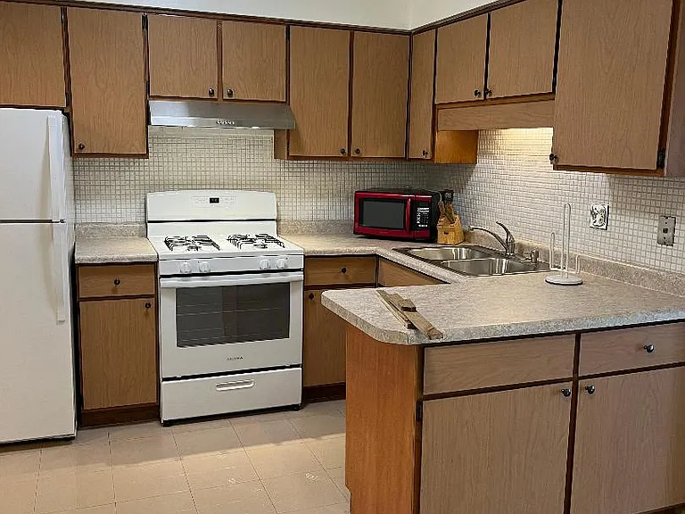6013 N Damen Ave #2 — Photo 5