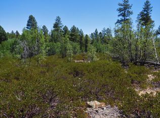 6283 Juniper Ridge Rd, Show Low, AZ 85901