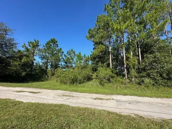 Woodland Ave Lot 88, Paisley, FL 32767