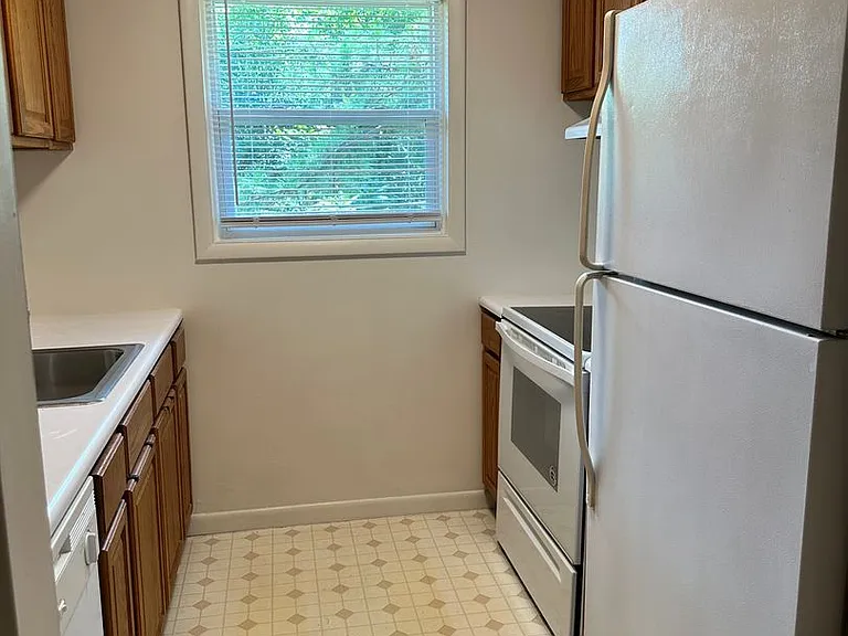 153 Albemarle Dr — Photo 4