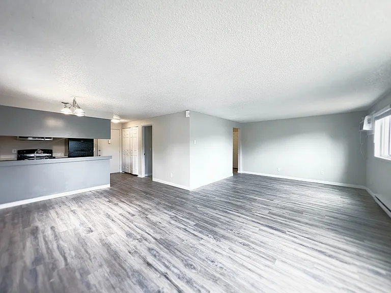 Living Room/Kitchen