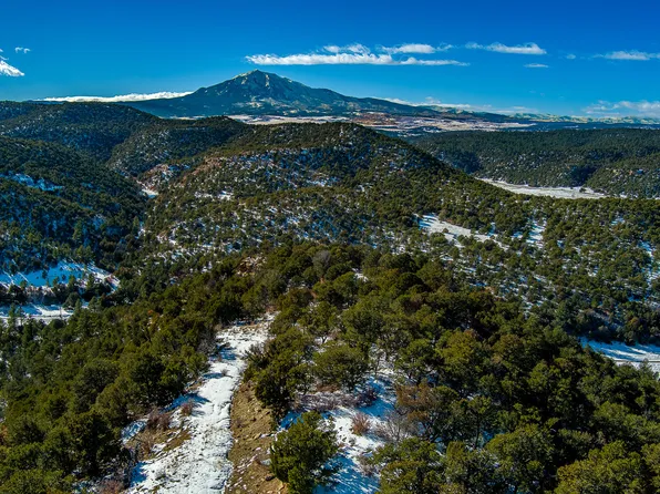 W Ridge Dr #41, Walsenburg, CO 81089