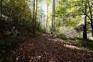 1st image of 1145 Towee Pike #H