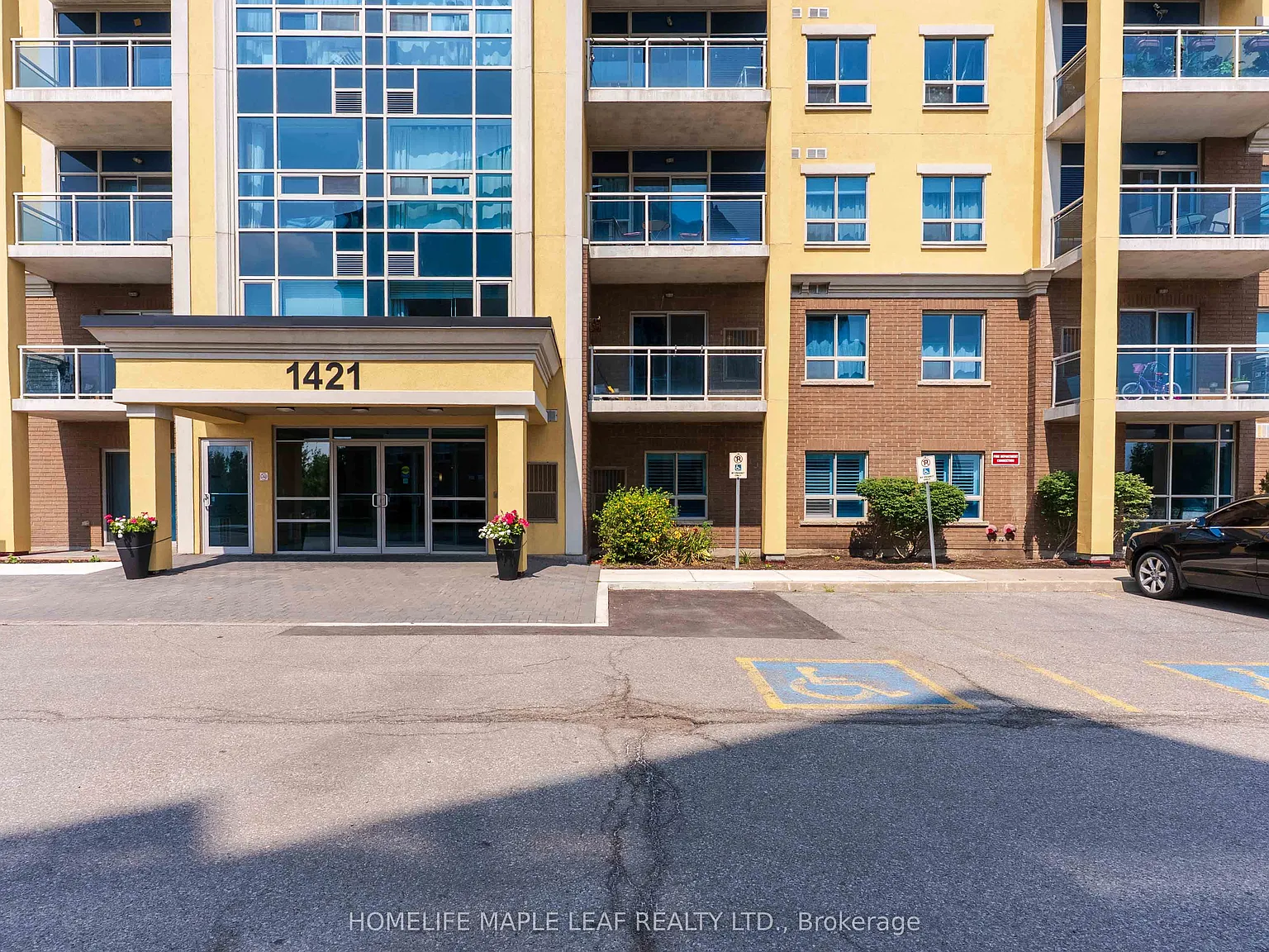 2 bed, $2,650 — Photo 3