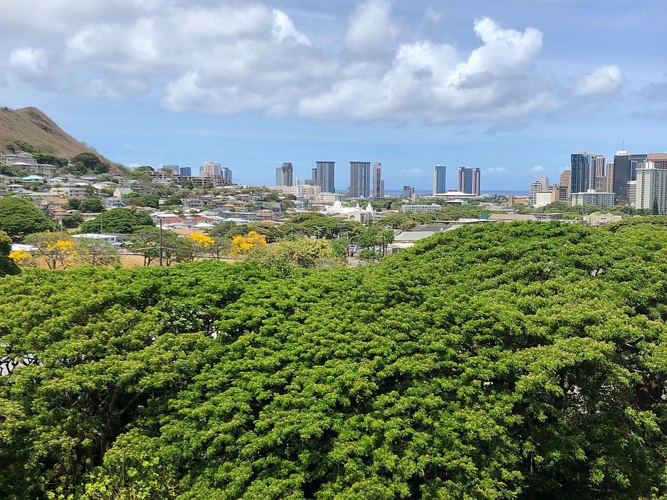 View from lanai
