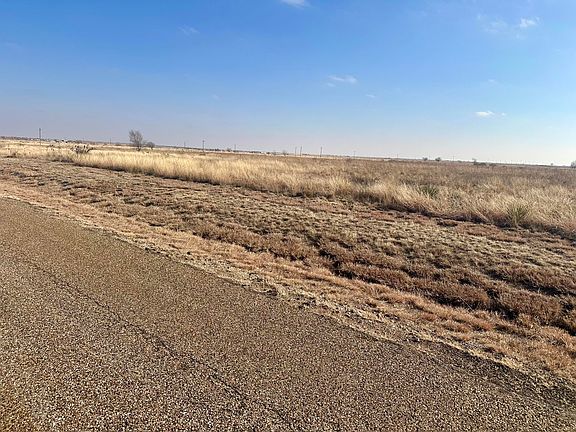 5th image of Maine Rd