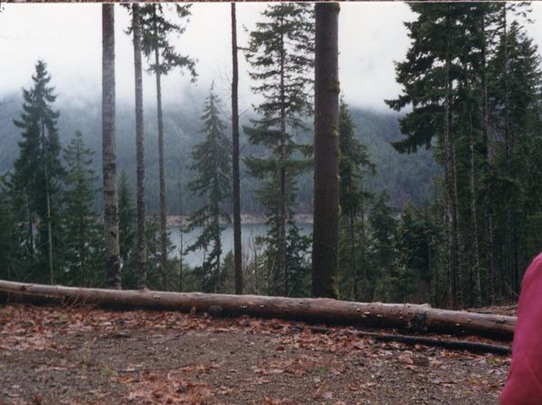 N Lake Cushman Rd, Hoodsport, WA 98548
