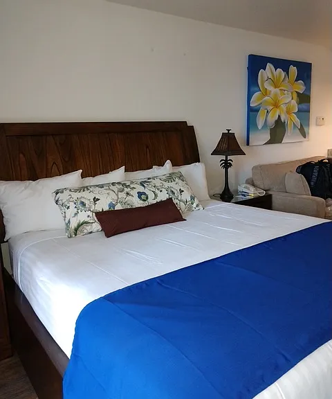 4365 Lower Honoapiilani Rd #203 — Photo 11