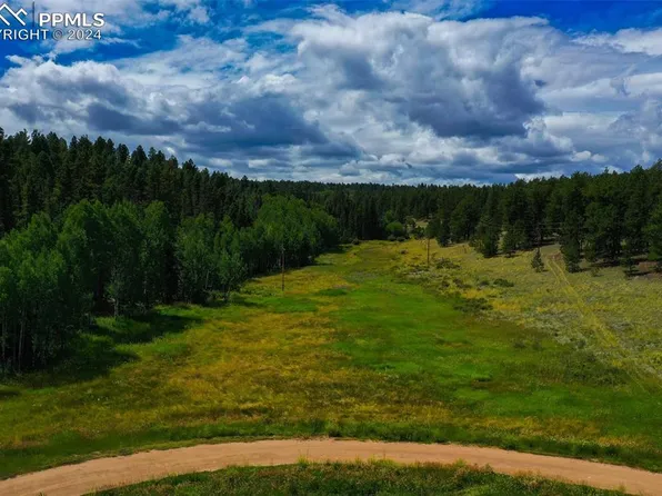 282 Echo Lake Dr, Florissant, CO 80816