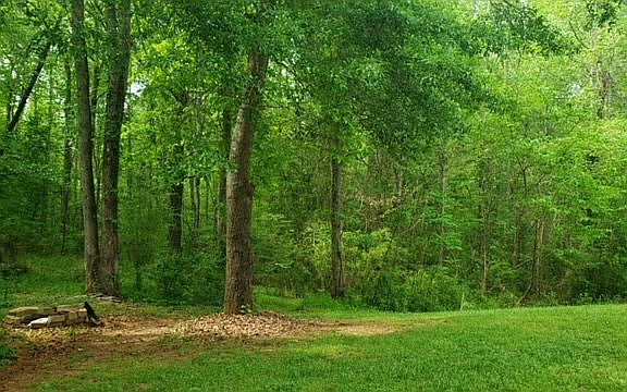 Deep Wooded Lot