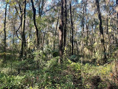 0 SW Chinchilla Gln, High Springs, FL, 32643